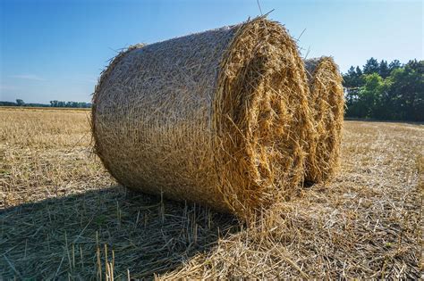 Straw Bales Harvest Free Photo On Pixabay Pixabay