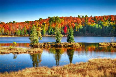 🇨🇦 Fall Foliage Colors Robinson Lake Near Whitney Ontario By