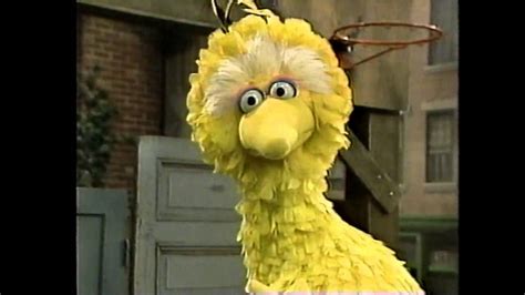 Classic Sesame Street Big Bird The Grouch Youtube