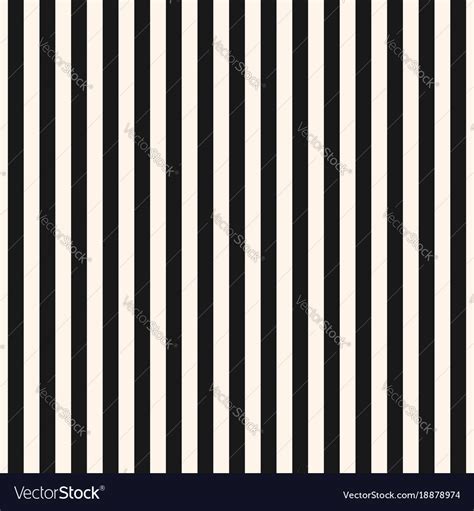 Vertical Stripes Seamless Pattern Black White Vector Image