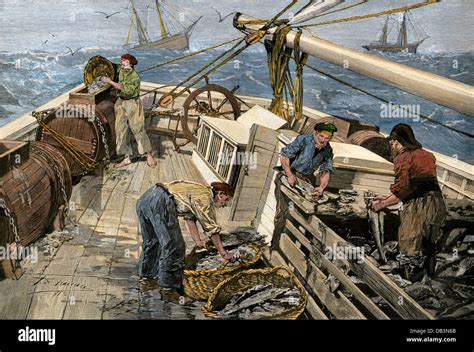 Fishing Boat On The Grand Banks Cleaning The Catch 1890s Hand Colored