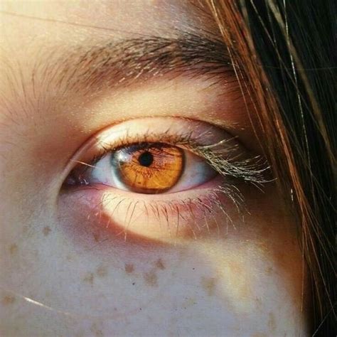 Brown Eyes In The Sun Are Like Pools Of Honey Ögon Ansikten