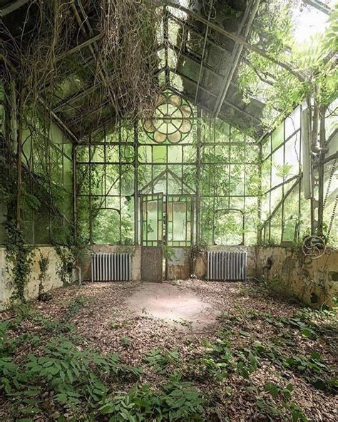 Abandoned Greenhouse Landscape Design Greenhouse Dream Garden