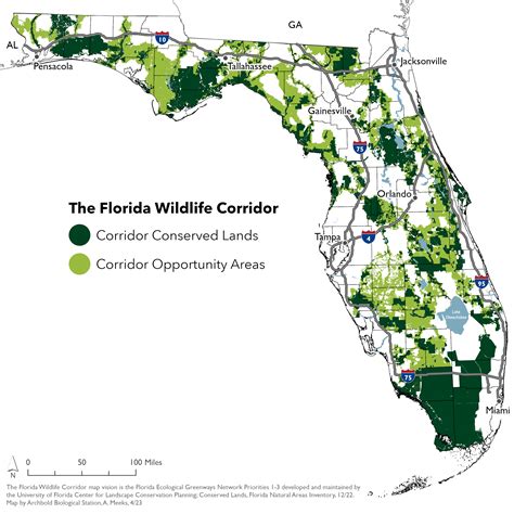 The Florida Wildlife Corridor Helps Conserve Water Resources | Florida