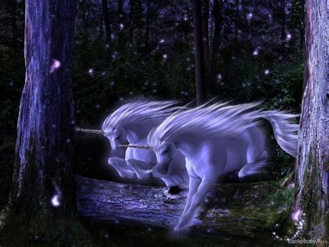 Mythical Creatures Wallpapers Wallpaper Cave
