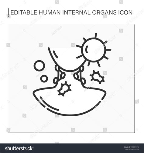 Lymph Nodes Line Icon General Swelling In Neck Royalty Free Stock