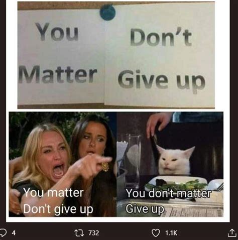 Kata dia, kampus kucing ini bernama catcalling university. Tak Kalah dari Kucing Oren, 7 Meme Kucing Putih Ini Bikin Ngakak! - HiTekno.com