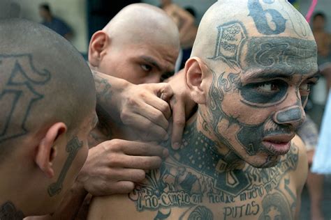 10 Ghastly Facts About Ms 13 The World’s Most Dangerous Gang Factionary