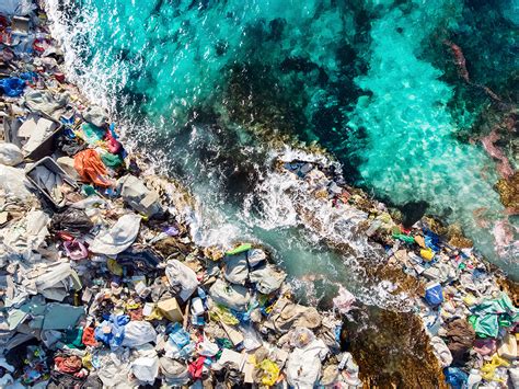 Eliminar Los Plasticos Para Salvar El Planeta Fundación Aquae
