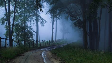 Misty Road Forest Landscape Desktop Wallpaper 1920x1080 Download