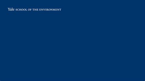 Brand Identity Guidelines And Resources Yale School Of The Environment