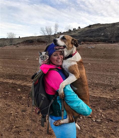 Cat And Dog Best Friends Explore Colorados Breathtaking Moutainscapes