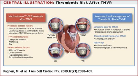 Thrombotic Risk And Antithrombotic Strategies After Transcatheter