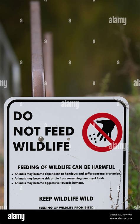 Sign Do Not Feed Wildlife Stock Photo Alamy