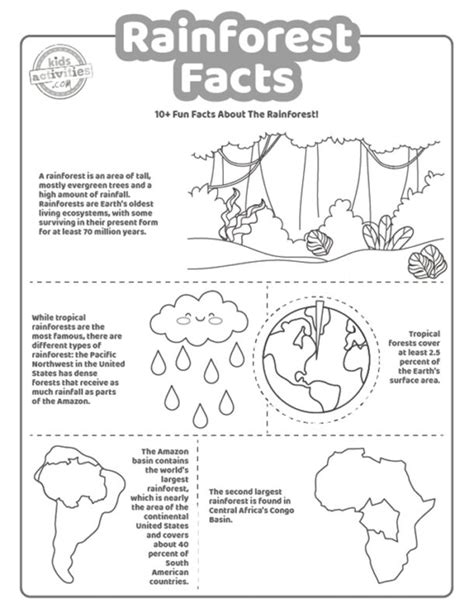 10 Rainforest Facts For Kids Printable Worksheets Kids Activities Blog