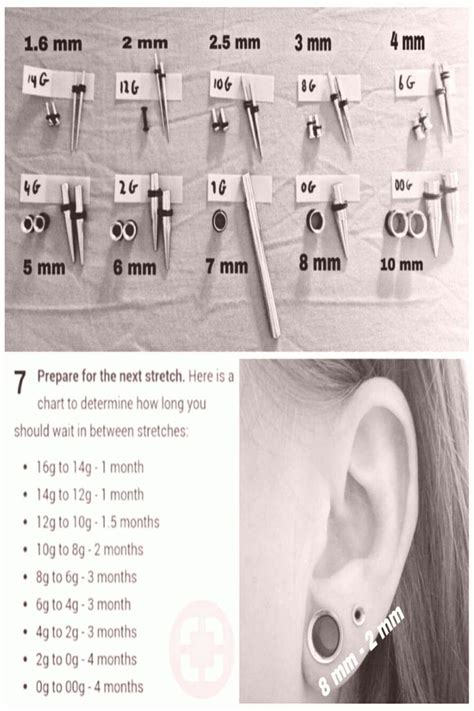 Ear Stretching Sizes Guide Ear Piercings Gauges Types Of Ear Piercings Stretched Ear Lobes