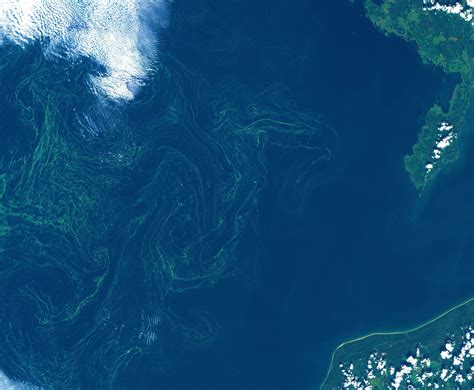 Satellite Imagery Algae Bloom Hsat