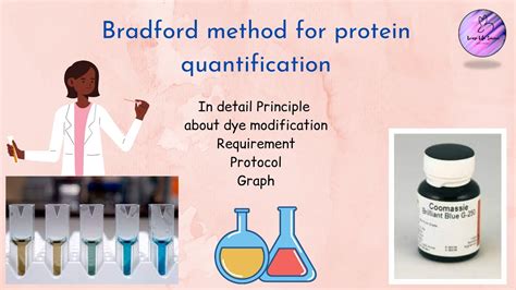 Bradford Method For Protein Quantification Protocol Youtube