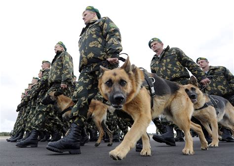 War Dogs Of The World Foreign Policy