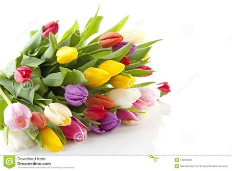 Ramo De Tulipanes Holandeses Coloridos Foto De Archivo Imagen De