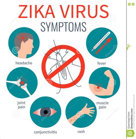 Zika Virus Symptoms Poster Stock Illustrations Zika Virus Symptoms Poster Stock