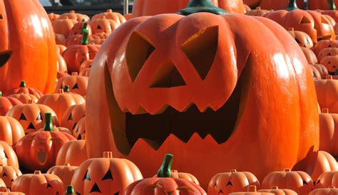 Several new movie titles will debut on the streaming service in september and october. Halloween Movies & TV Shows on Netflix - Here's What to ...