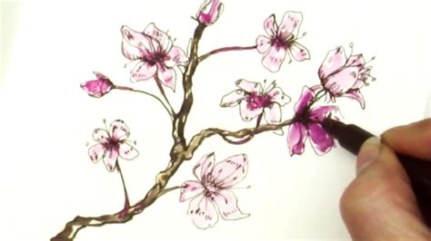 Easy How To Draw A Sakura Cherry Blossom Branch Youtube