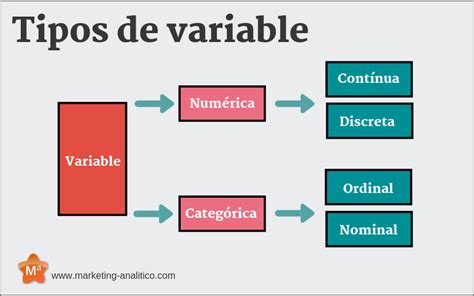 Cómo Diferenciar Variables Categóricas Y Numéricas En Análisis De Datos