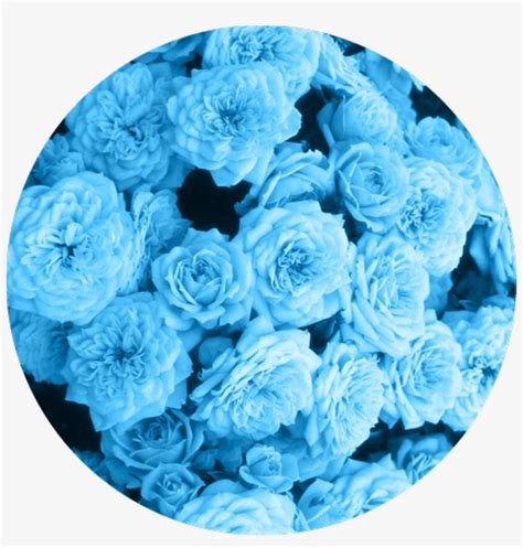 85 Aesthetic Blue Flower Png Images 4kpng