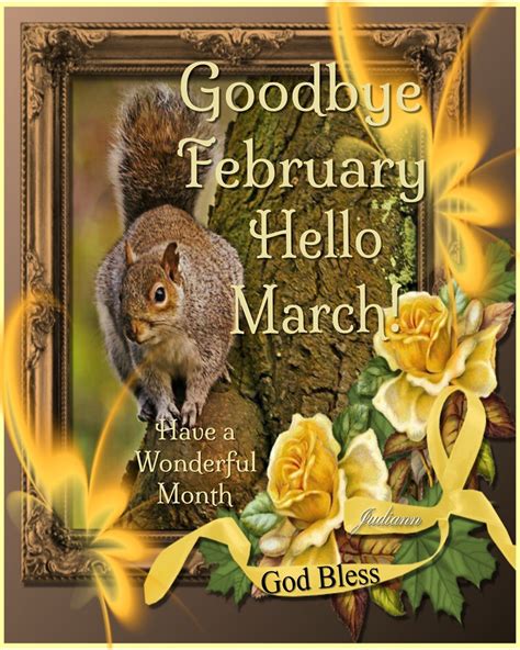 Squirrel Goodbye February Hello March Pictures Photos And Images For