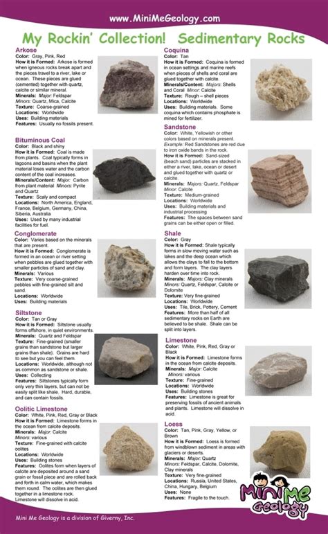 My Rockin Collection Junior Sedimentary Rocks Kit Mini Me Geology