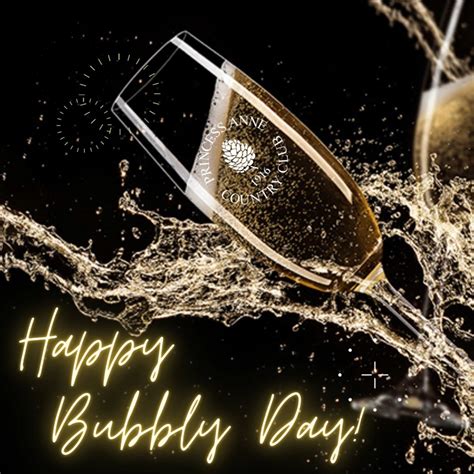 National Bubbly Day Feeling Bubbly Grab A Glass Champagne