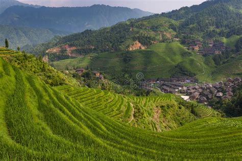 View Of The Longsheng Rice Terraces Near The Of The Dazhai Village In