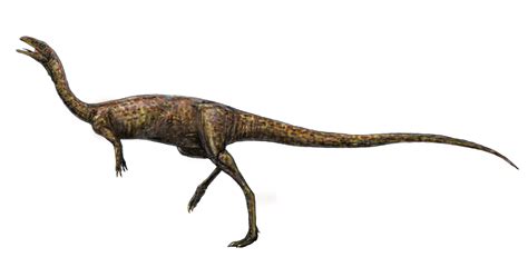 Categoríaelaphrosauridae Wiki Prehistórico Fandom Powered By Wikia