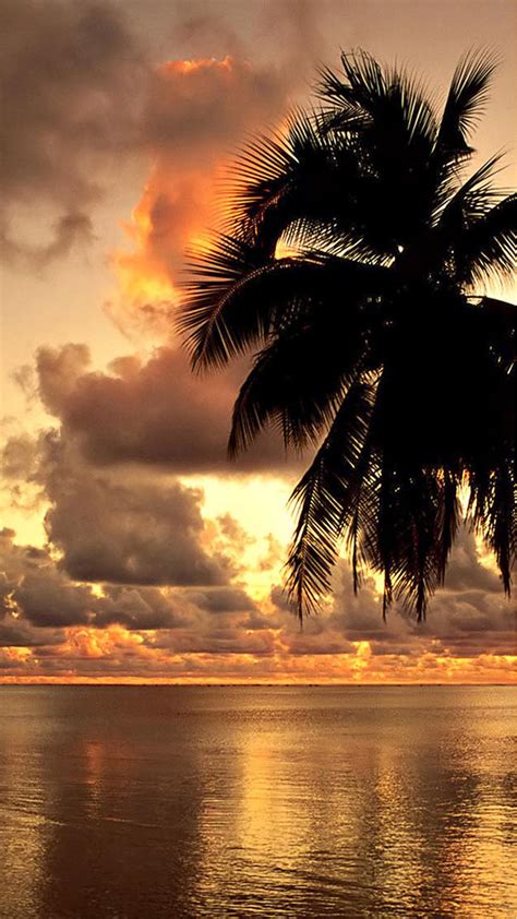 Best Of All Tropical Beach Wallpaper Android The Spruce Wallpaper