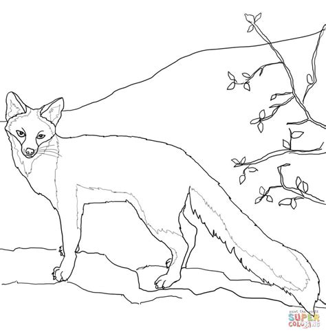 Search through 623,989 free printable colorings at getcolorings. Ausmalbild: Graufuchs | Ausmalbilder kostenlos zum ausdrucken