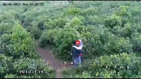 Viral Pasangan Remaja Ciuman Di Kebun Teh Kemuning Karanganyar Terekam