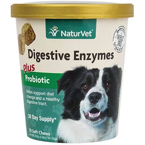 Naturvet Digestive Enzymes Plus Probiotic For Dogs Allivet