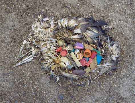 Historic ‘break Free From Plastic Pollution Act To Address The Plastic