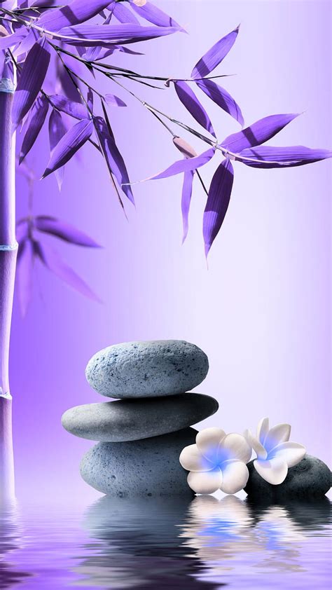 Zen Bamboo Flowers Leaves Purple Reflection Stones Water Hd