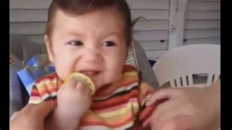 Babies Eating Lemons For The First Time