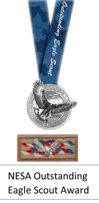 Ron Vernetti Named Outstanding Eagle Scout Coronado Times