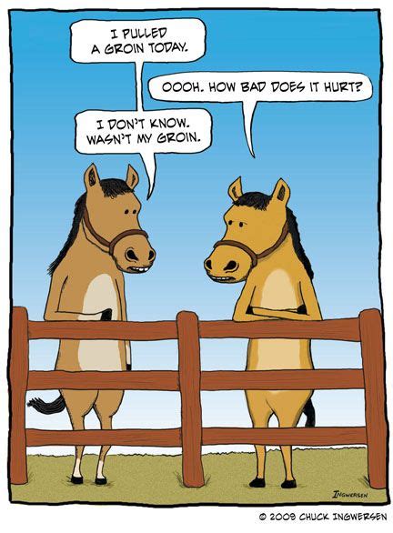Horse Humor Funny Horses Funny Horse Pictures Horse Love