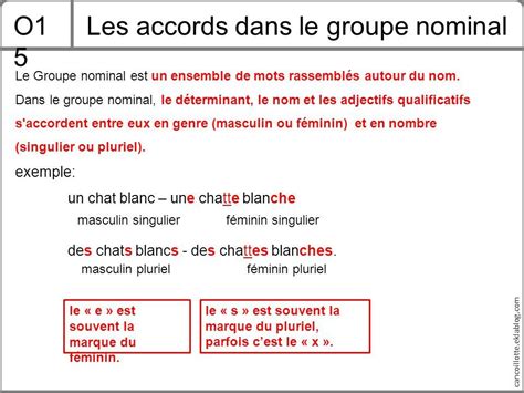 Les accords dans le groupe nominal | Groupe nominal, Orthographe