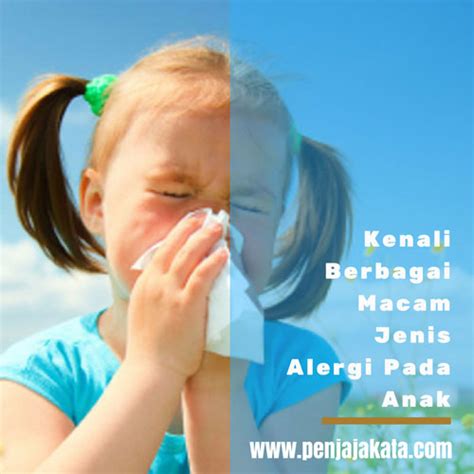 Mari Kenali Berbagai Macam Jenis Alergi Pada Anak Blogger Bandung
