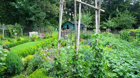 Gemüseanbau In Mischkultur Mein Schöner Garten