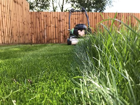 Grass Gauge Gardening Weeding Lawn Tool Plant Growth Height Measurement