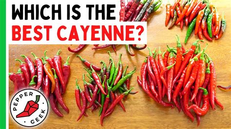 Which Is The Best Cayenne Pepper Comparing 7 Different Varieties Pepper Geek Youtube