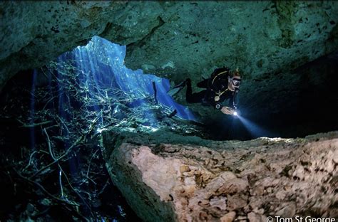 Things And Considerations About Diving Cenotes In Mexico Maya Blue