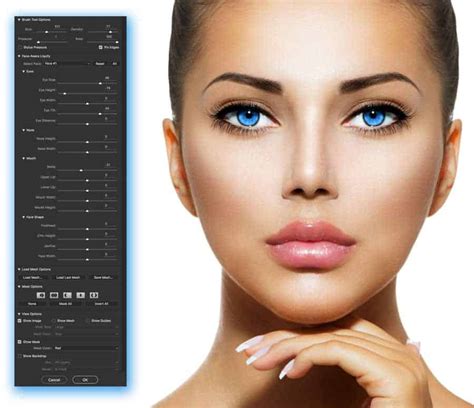 Photoshop Liquify Filter Tips And Tricks Improve Photography